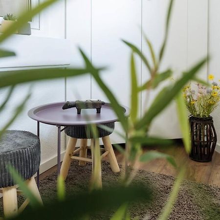 Cozy Studio Next To House Of Parliament 布加勒斯特 外观 照片