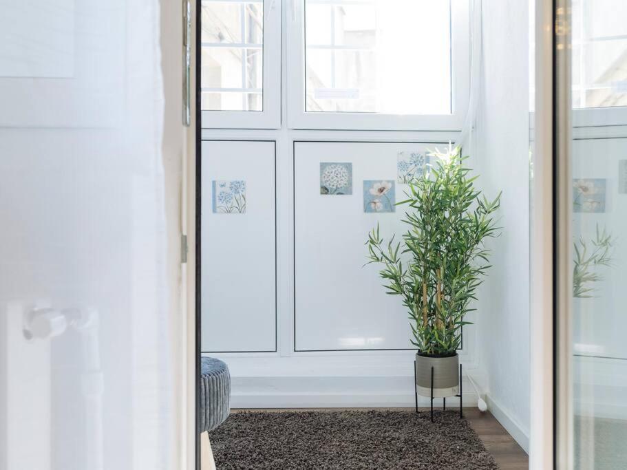 Cozy Studio Next To House Of Parliament 布加勒斯特 外观 照片